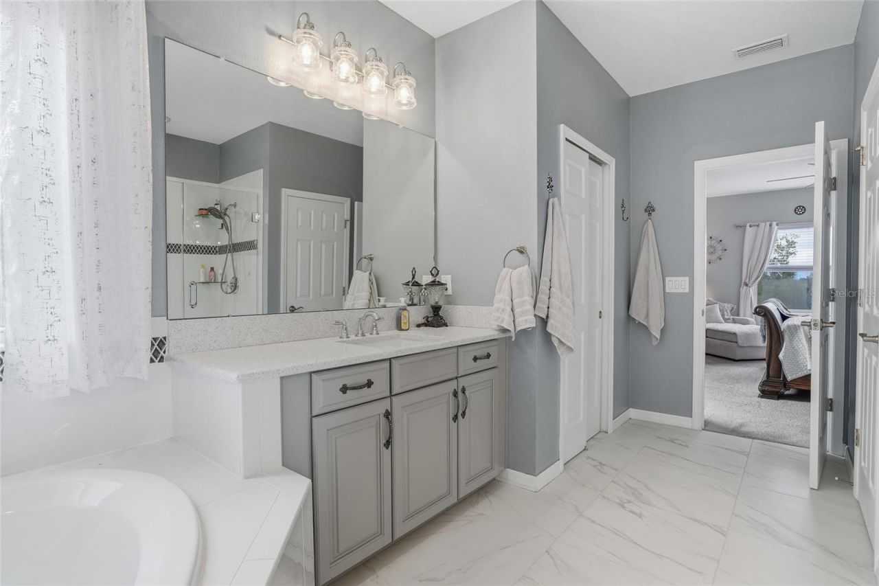 33564 Willow Point Court, Wesley Chapel, FL 33545 Photo