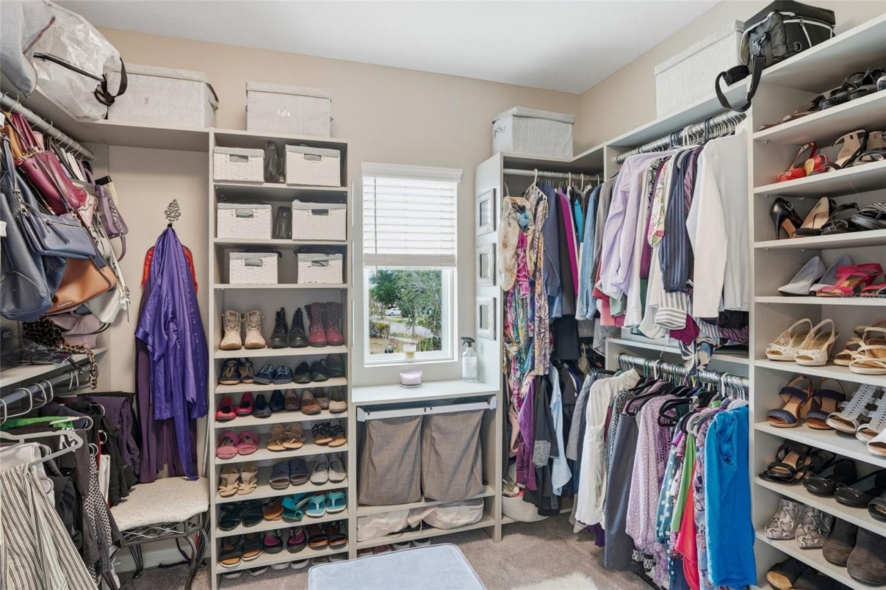 33564 Willow Point Court, Wesley Chapel, FL 33545 Photo