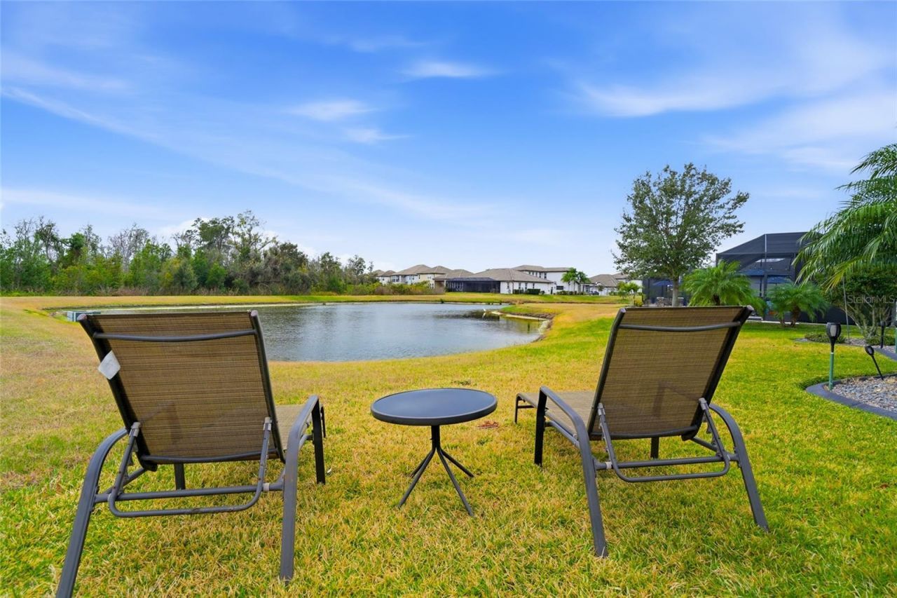 33564 Willow Point Court, Wesley Chapel, FL 33545 Photo