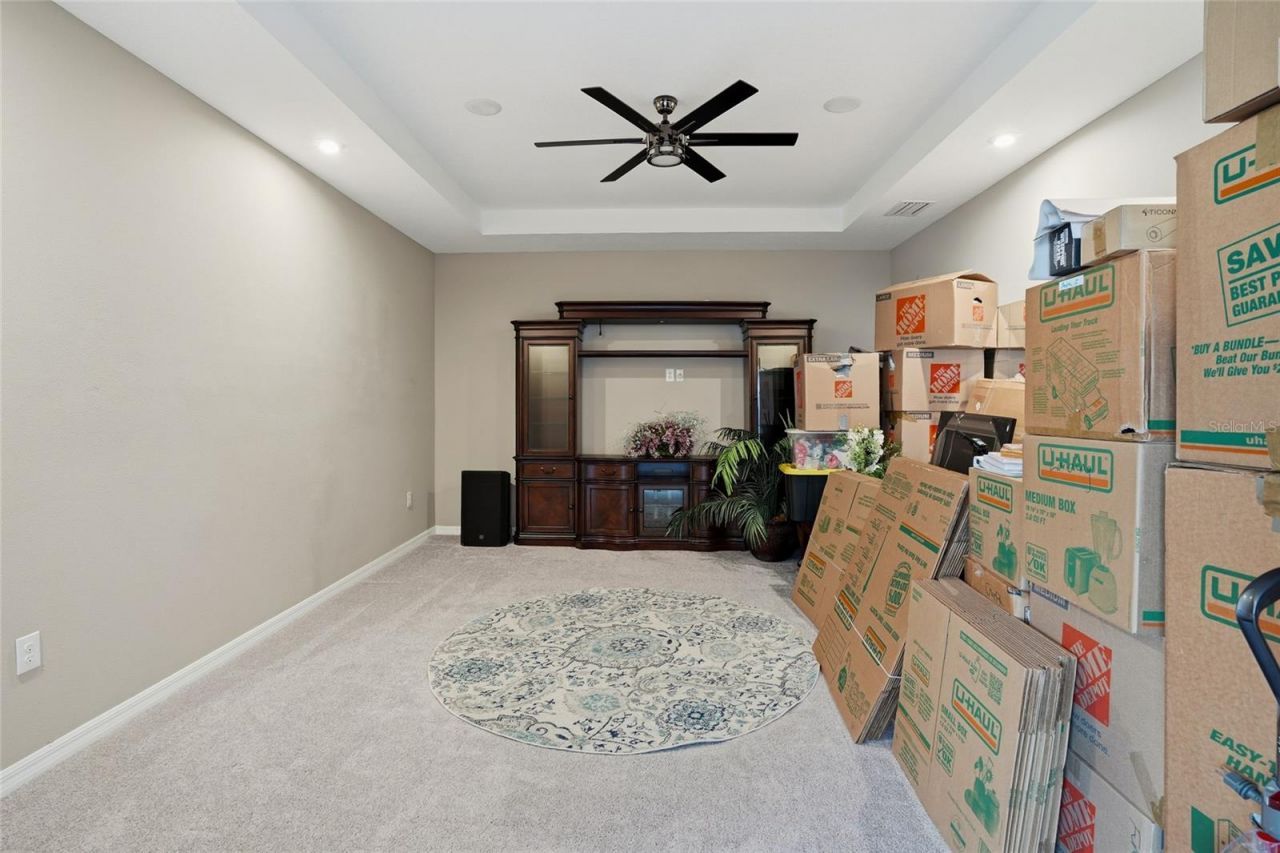 33564 Willow Point Court, Wesley Chapel, FL 33545 Photo