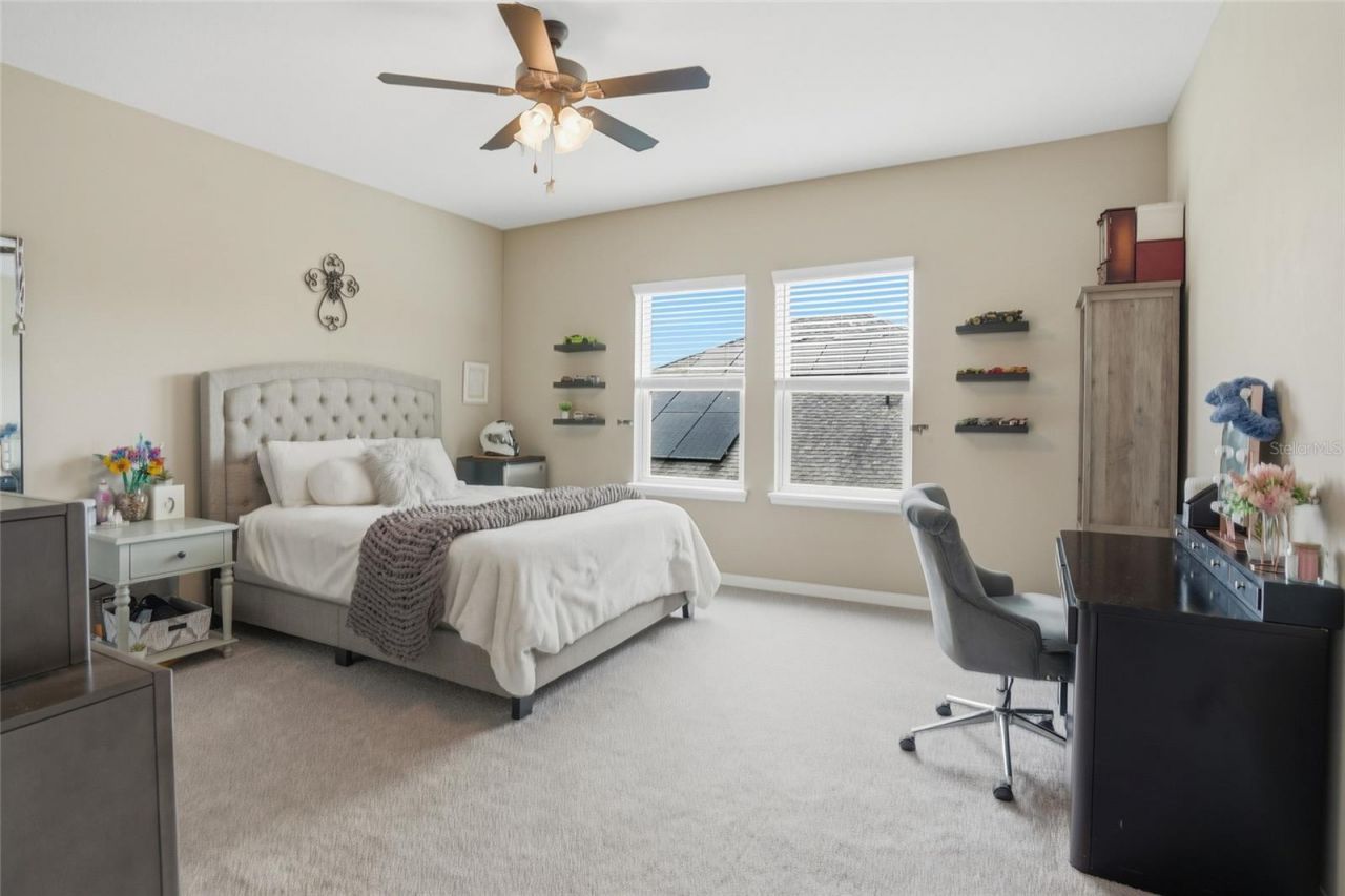 33564 Willow Point Court, Wesley Chapel, FL 33545 Photo