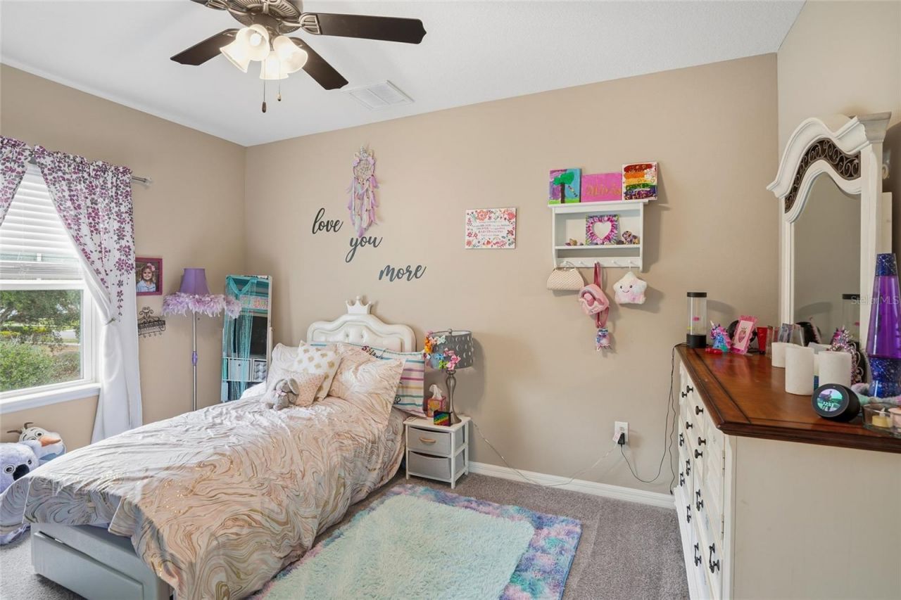 33564 Willow Point Court, Wesley Chapel, FL 33545 Photo