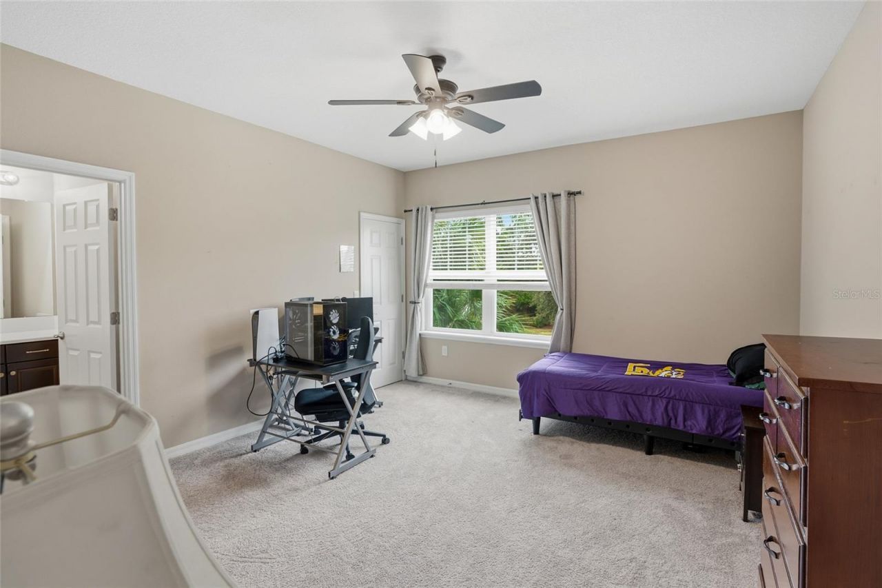 33564 Willow Point Court, Wesley Chapel, FL 33545 Photo