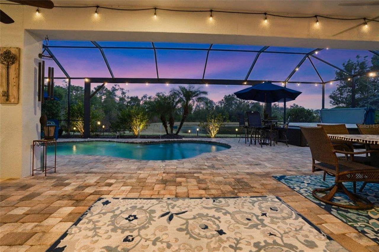 33564 Willow Point Court, Wesley Chapel, FL 33545 Photo