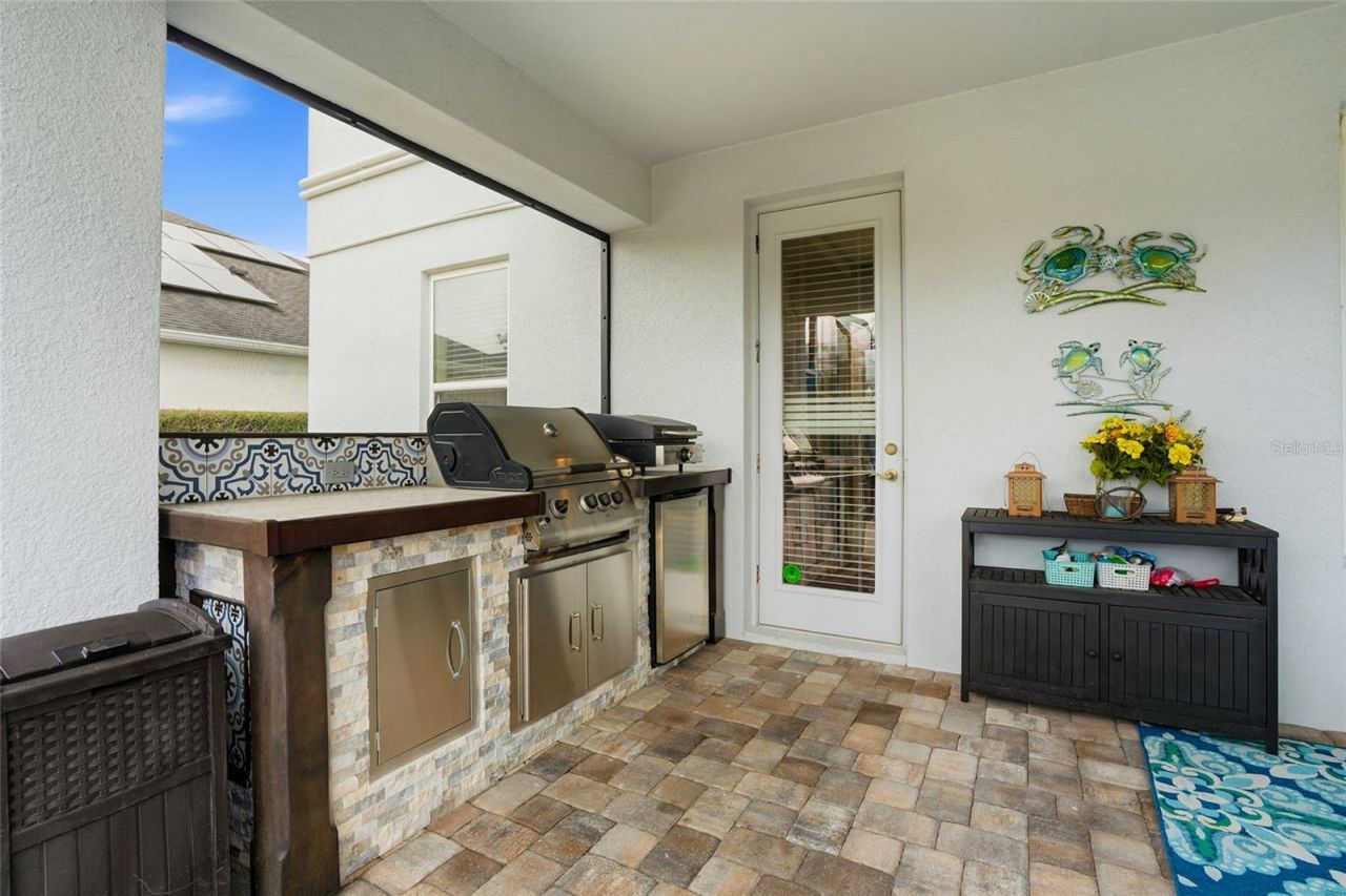 33564 Willow Point Court, Wesley Chapel, FL 33545 Photo