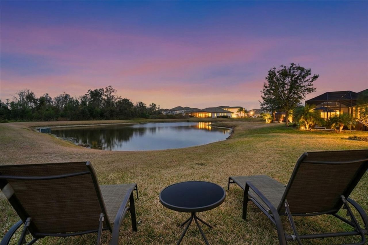 33564 Willow Point Court, Wesley Chapel, FL 33545 Photo