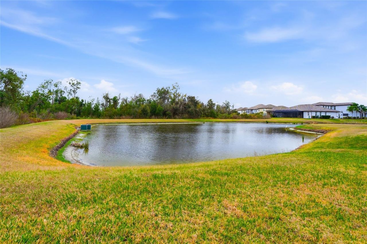 33564 Willow Point Court, Wesley Chapel, FL 33545 Photo