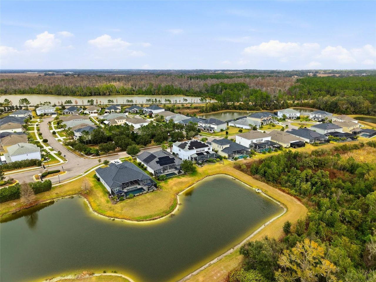 33564 Willow Point Court, Wesley Chapel, FL 33545 Photo