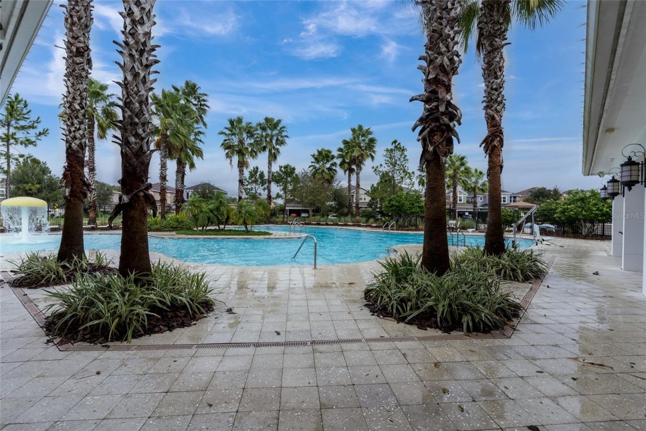 33564 Willow Point Court, Wesley Chapel, FL 33545 Photo