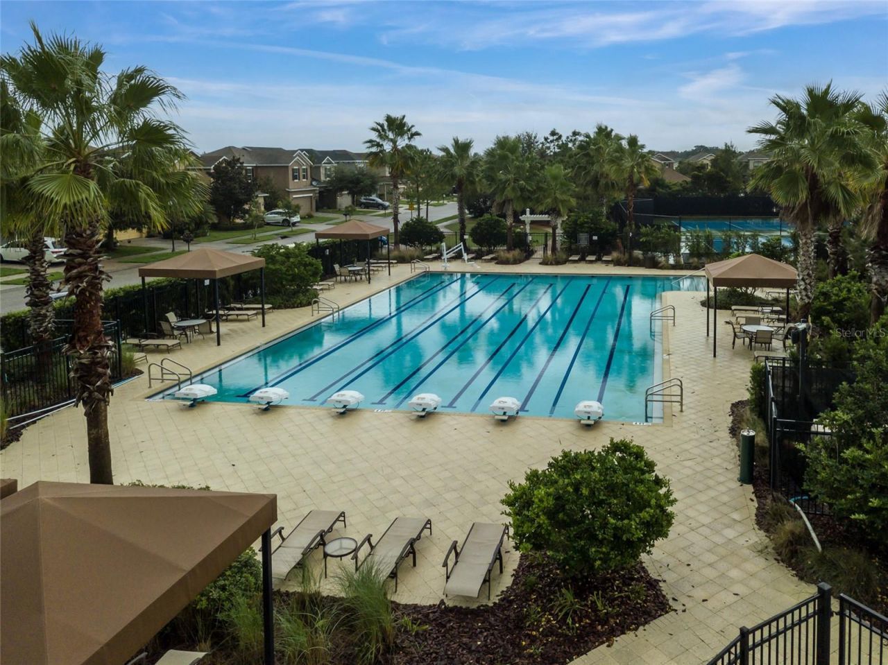 33564 Willow Point Court, Wesley Chapel, FL 33545 Photo