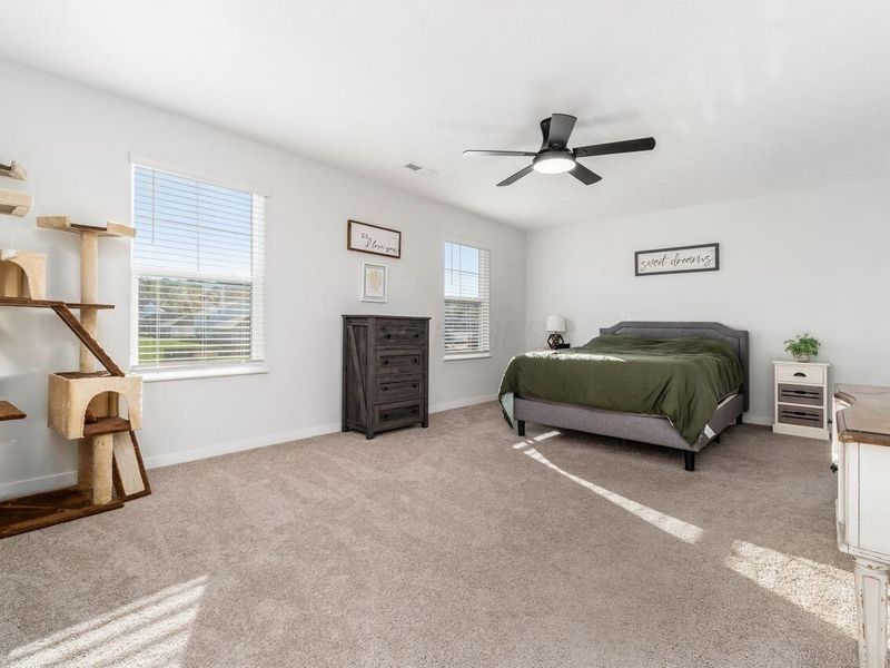 377 St James Gate Way, Newark, OH 43055 Photo 28