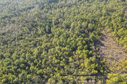 Tbd Sugar Bowl Ln. photo 4