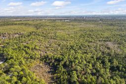 Tbd Sugar Bowl Ln. photo 4