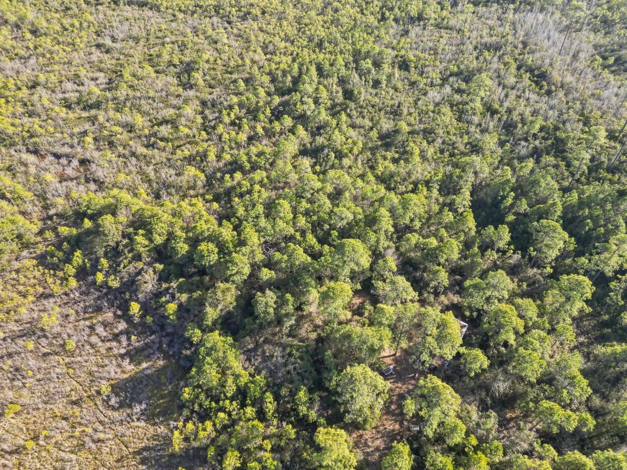 Tbd Sugar Bowl Ln. Photo 5