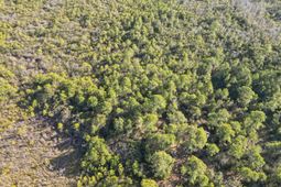 Tbd Sugar Bowl Ln. photo 4