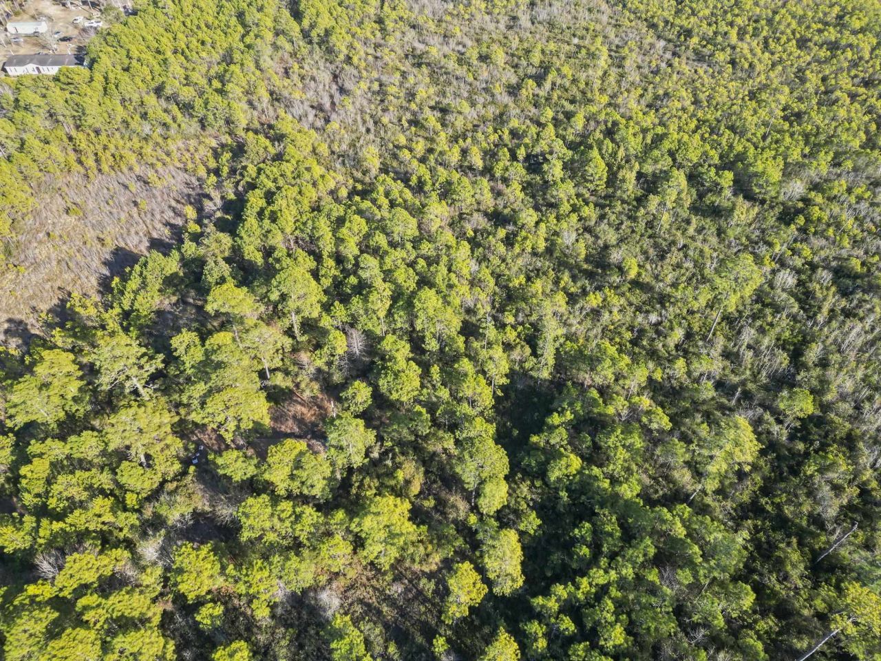 Tbd Sugar Bowl Ln. Photo 6