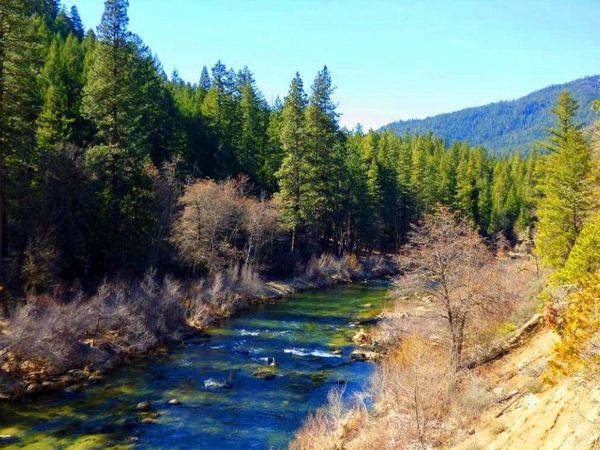 0 Scott River Road, Fort Jones, CA 96032