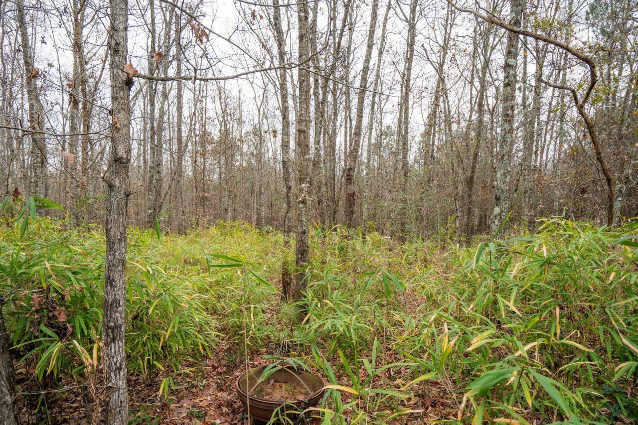 3024 Nehemiah Road Photo 8