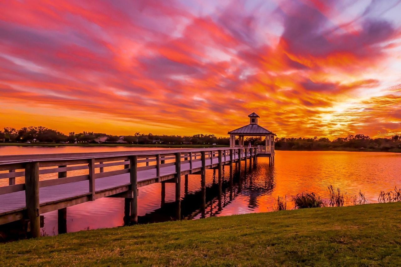 11637 Old Florida Lane, Parrish, FL 34219 Photo