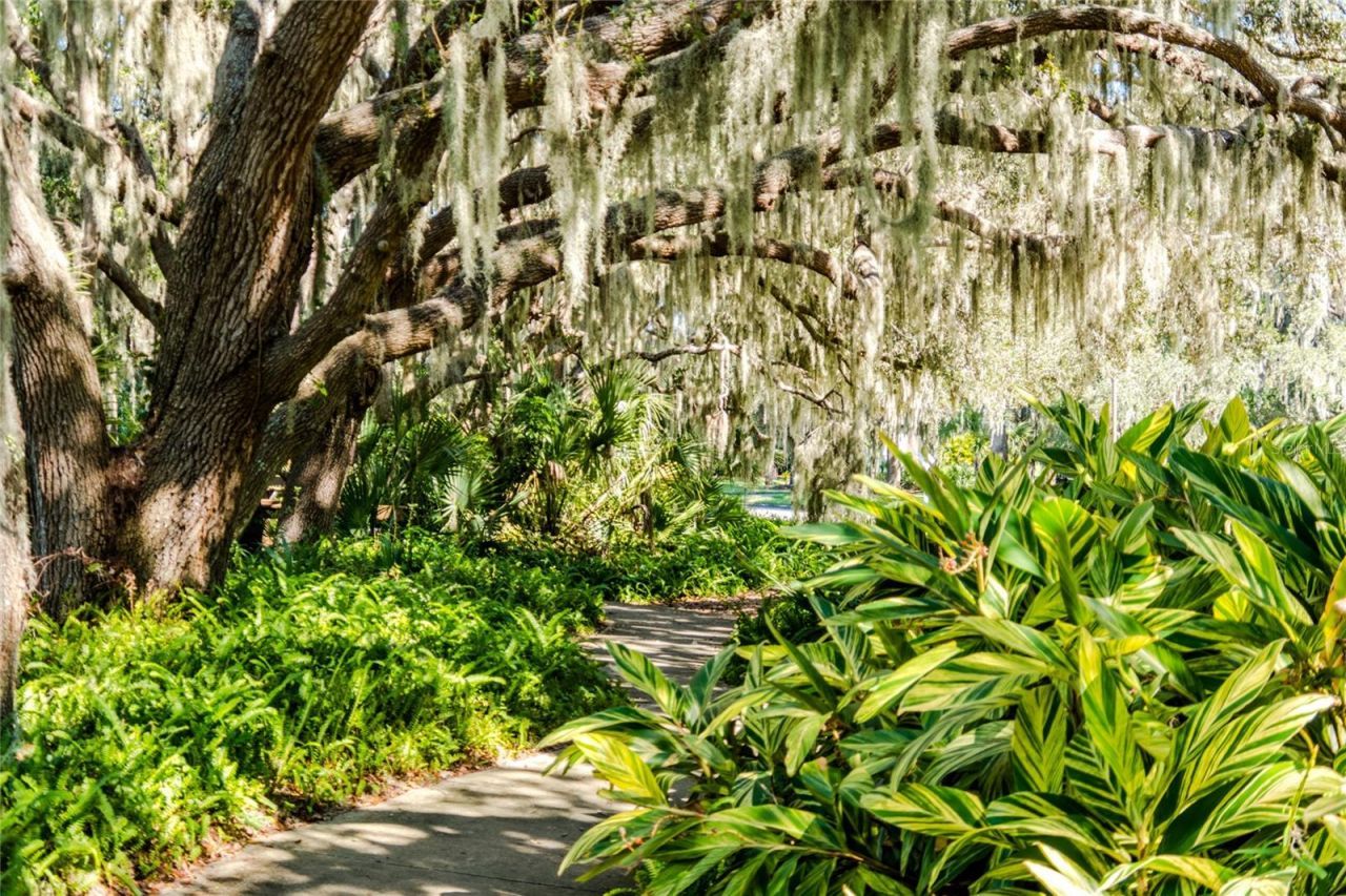 11637 Old Florida Lane, Parrish, FL 34219 Photo