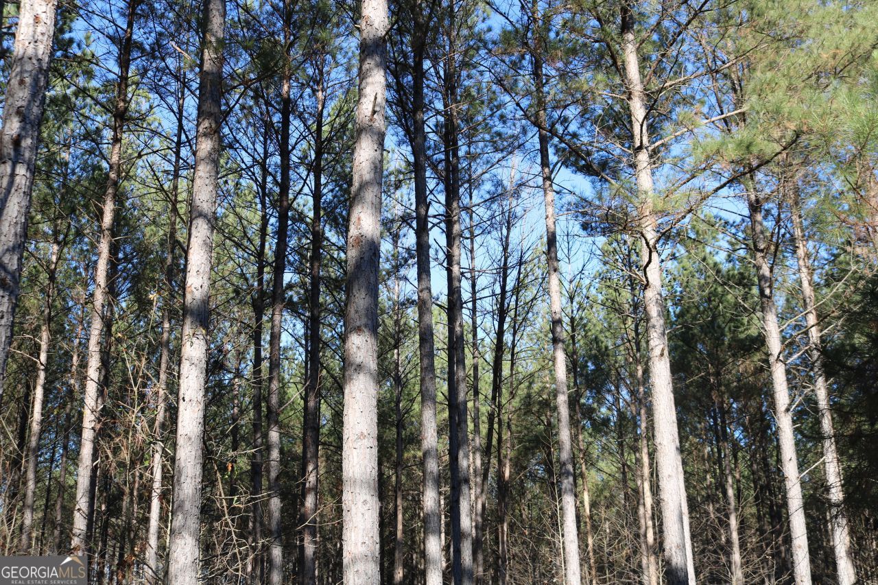 0 Iron Hill, Taylorsville, GA 30178 Main Photo