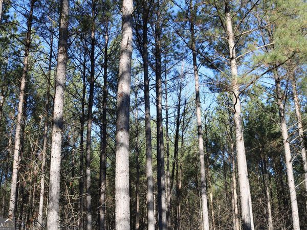 0 Iron Hill, Taylorsville, GA 30178