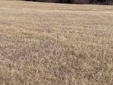 00000 Springdale Road, McLouth, KS 66054