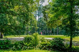 808 Long Drive Road photo 4