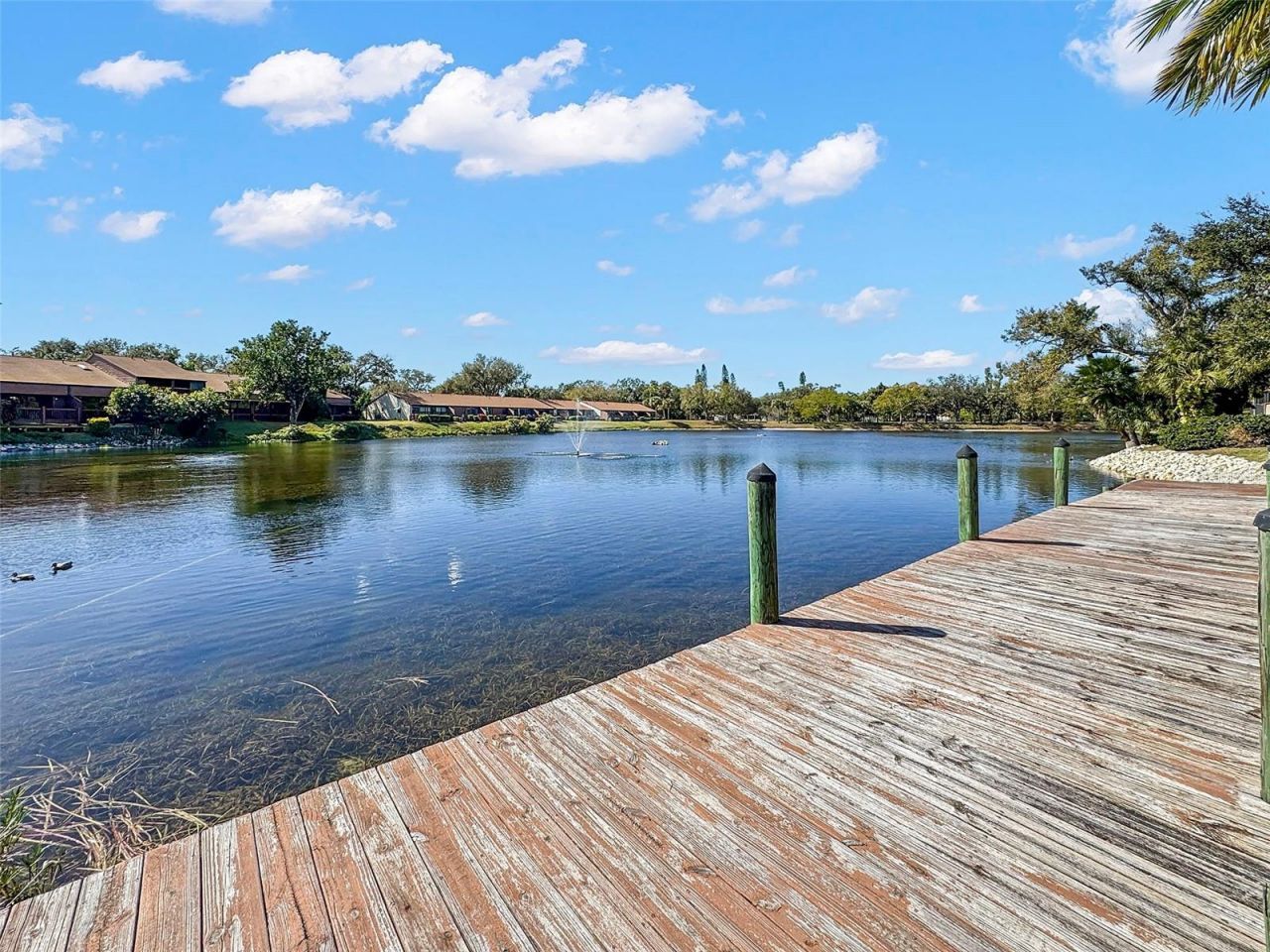 4425 Park Lake Terrace N, Bradenton, FL 34209 Photo