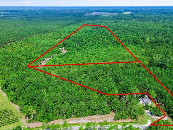 1 Lizzie Henry Road, Ivanhoe, NC 28447
