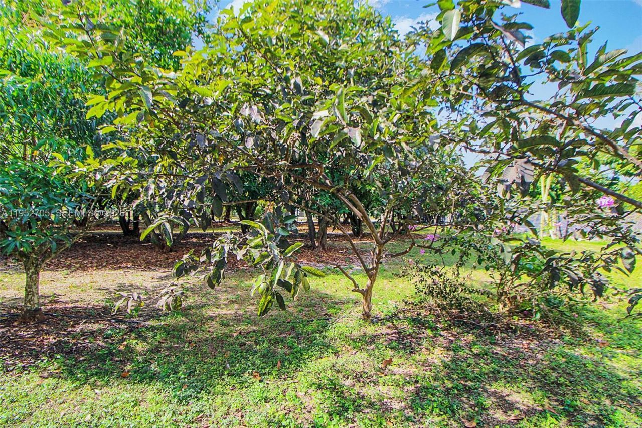 37225 SW 214th Ave, Homestead, FL 33034 Photo