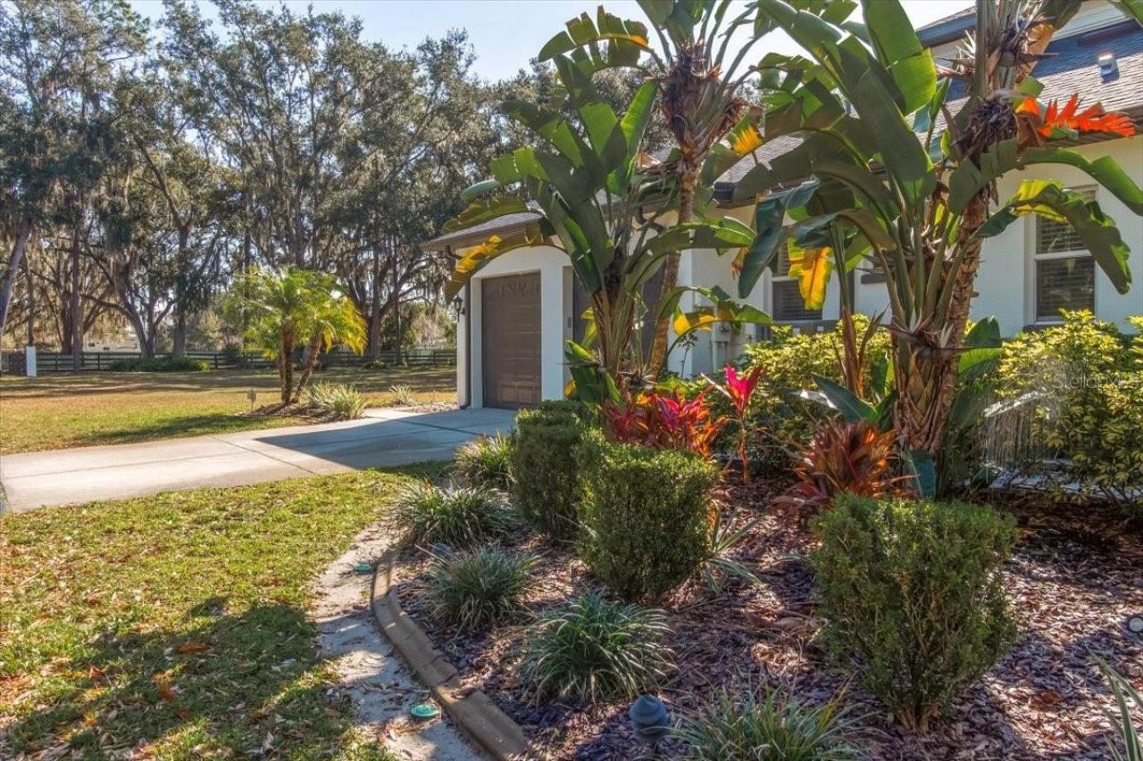 6535 Lake Irene Drive, Land O Lakes, FL 34638 Photo