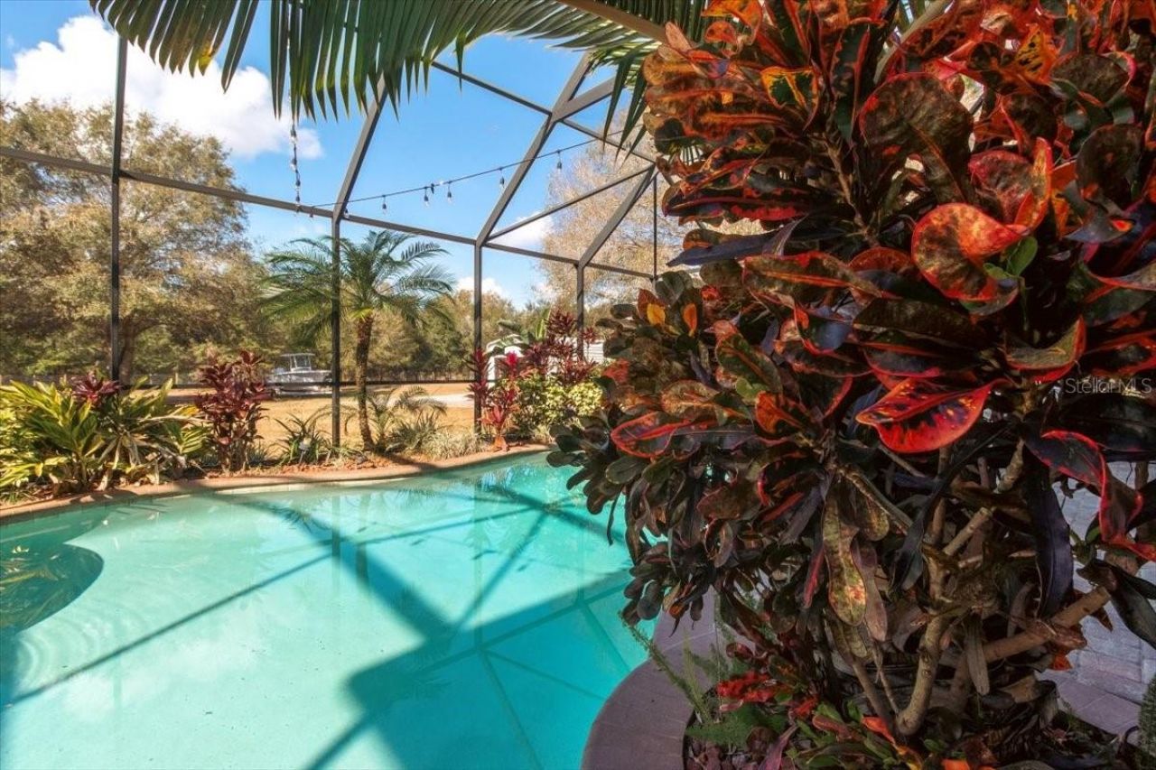 6535 Lake Irene Drive, Land O Lakes, FL 34638 Photo