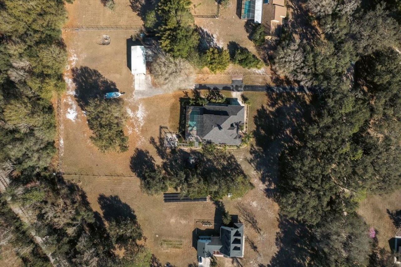 6535 Lake Irene Drive, Land O Lakes, FL 34638 Photo