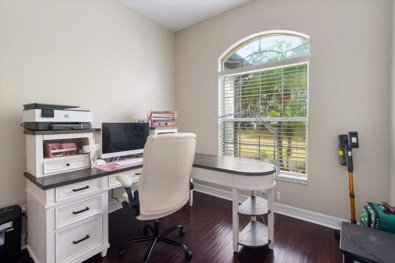 6535 Lake Irene Drive, Land O Lakes, FL 34638 Photo