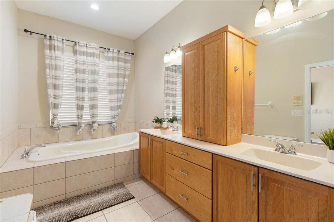 6535 Lake Irene Drive, Land O Lakes, FL 34638 Photo