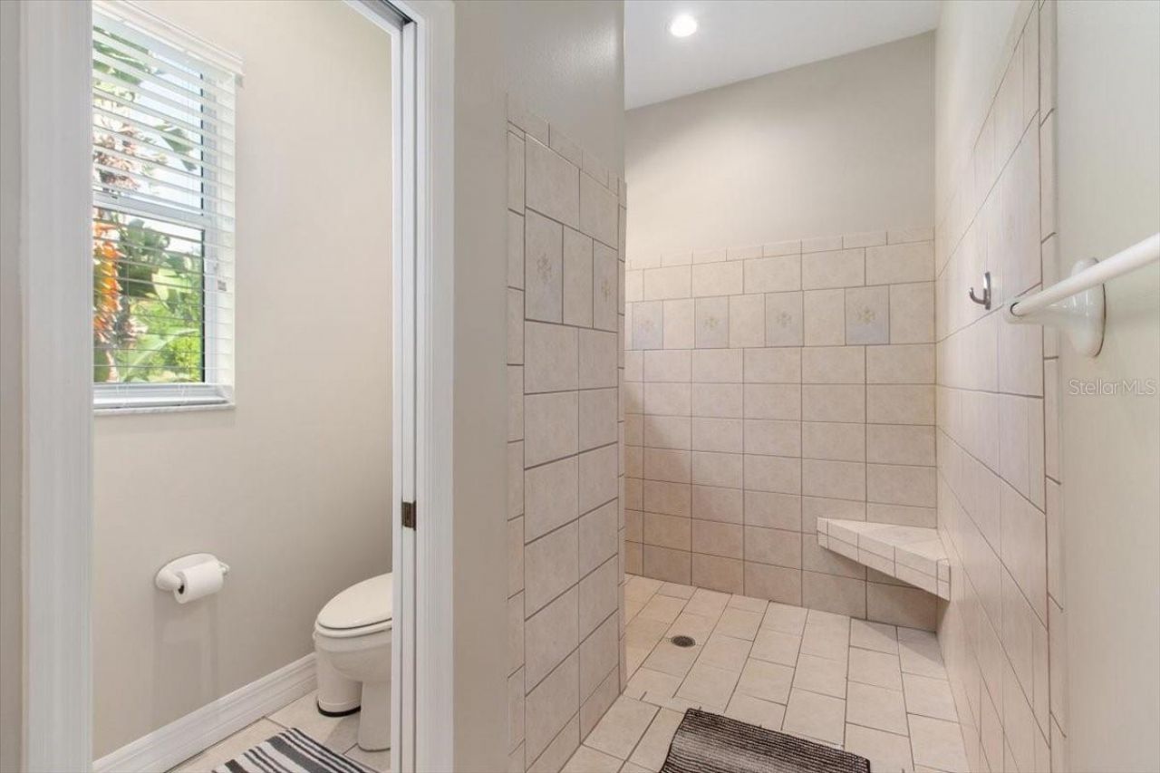 6535 Lake Irene Drive, Land O Lakes, FL 34638 Photo