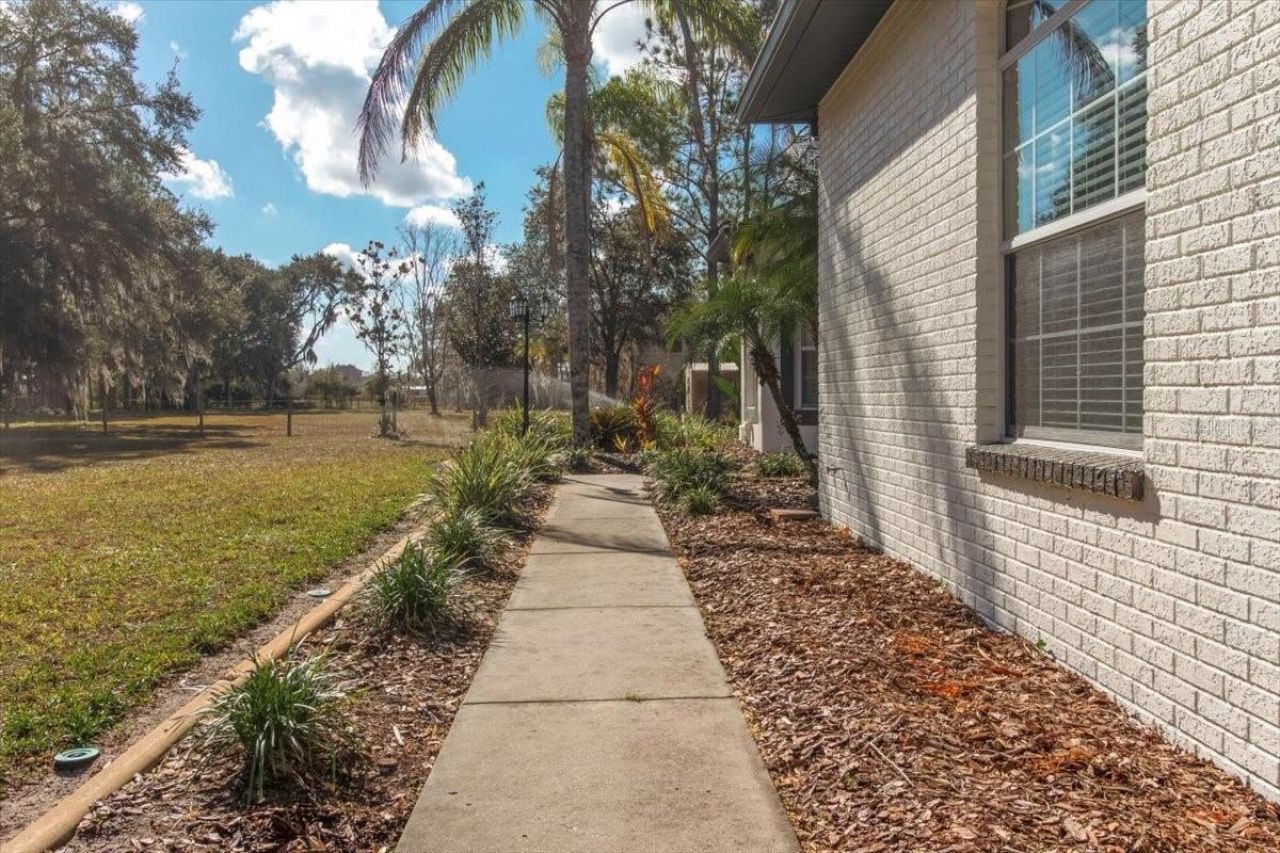 6535 Lake Irene Drive, Land O Lakes, FL 34638 Photo