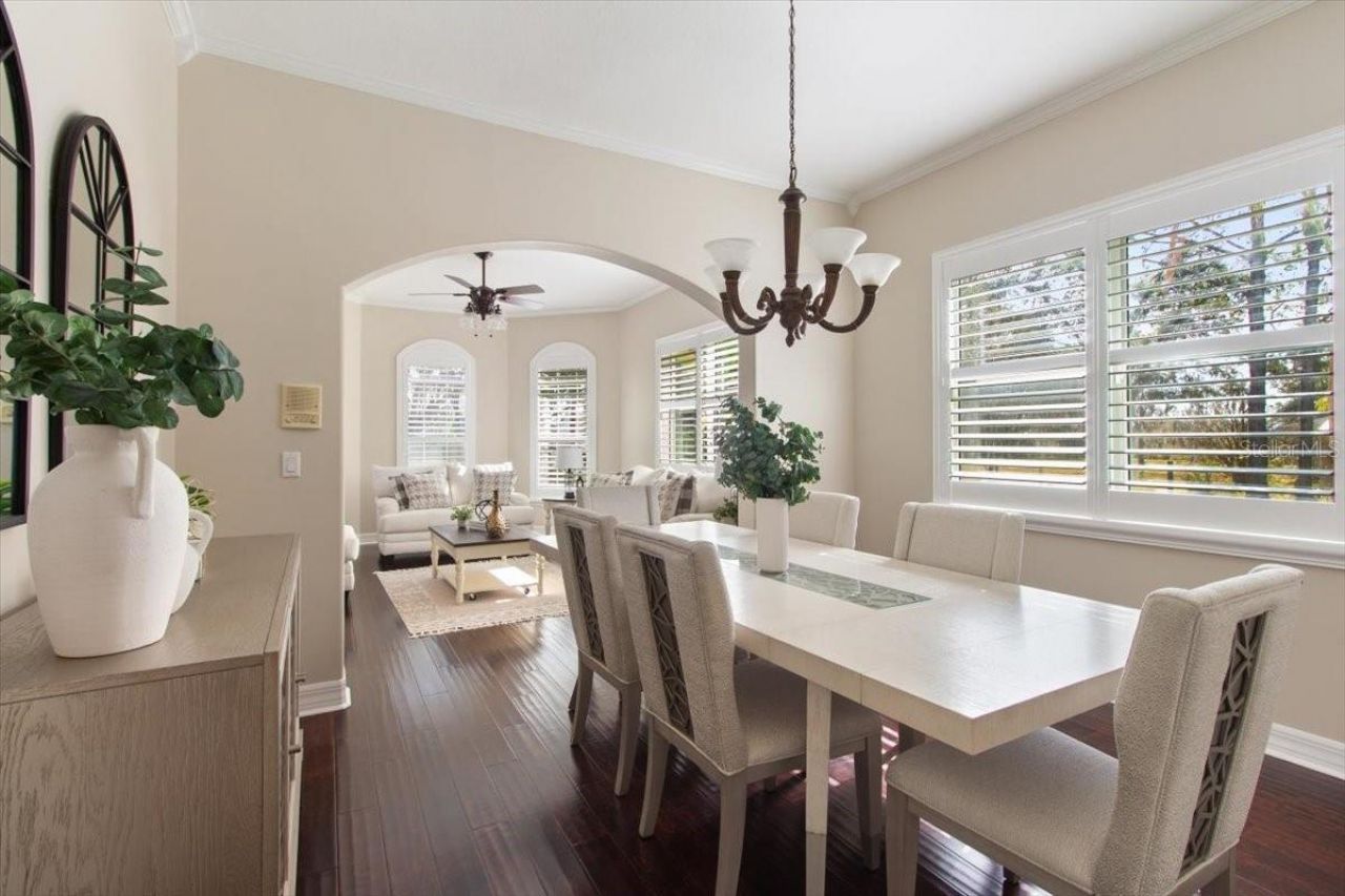 6535 Lake Irene Drive, Land O Lakes, FL 34638 Photo