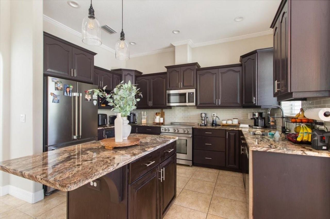 6535 Lake Irene Drive, Land O Lakes, FL 34638 Photo