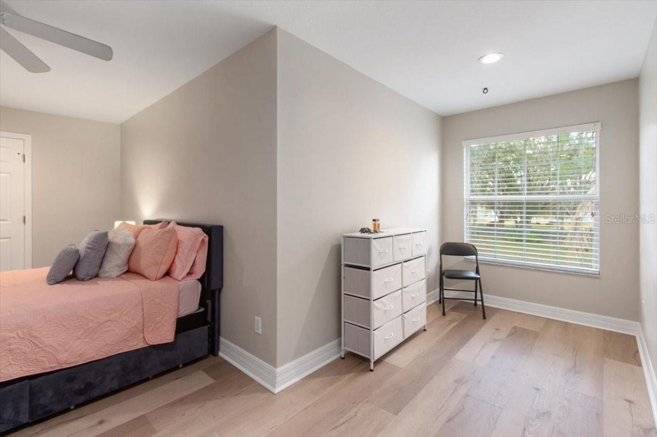 6535 Lake Irene Drive, Land O Lakes, FL 34638 Photo