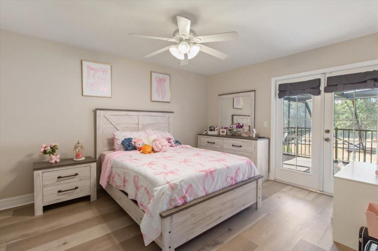 6535 Lake Irene Drive, Land O Lakes, FL 34638 Photo