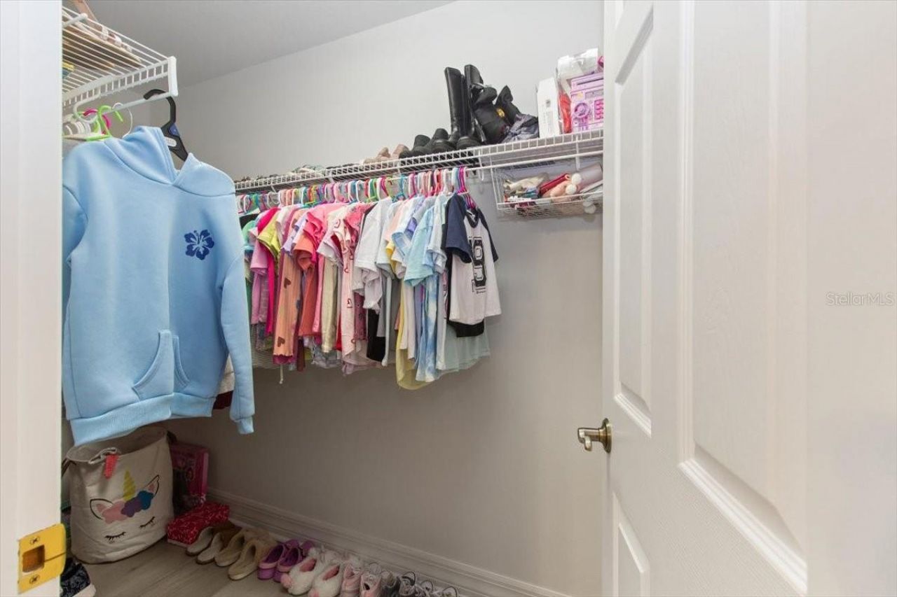 6535 Lake Irene Drive, Land O Lakes, FL 34638 Photo