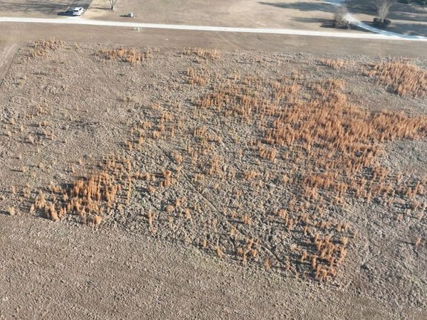 0 Mill Creek Road, Bartow, GA 30413