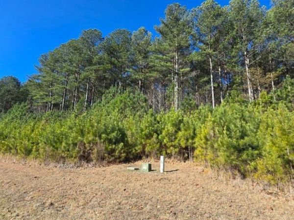 LOT 41 Deyton Drive, Blairsville, GA 30512