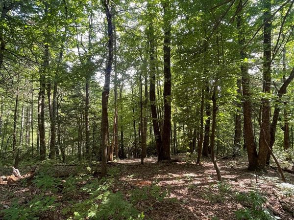 Lot # 21 Haverhill Court , Flat Rock, NC 28731