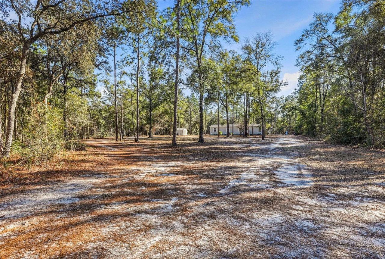 961 Hassell, Tallahassee, FL 32305 Photo