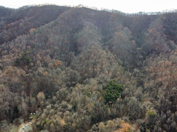 100 acres Elum Coffey Rd, Thorn Hill, TN 37881