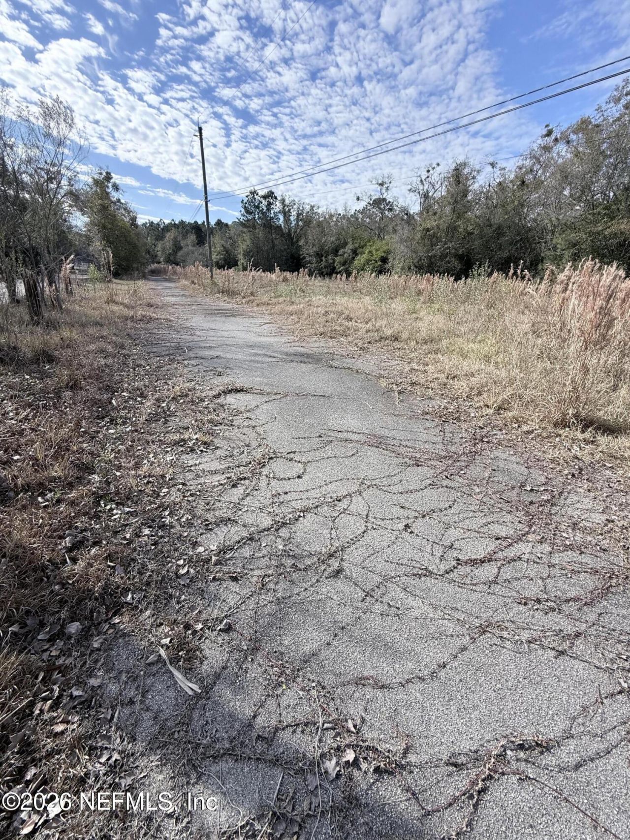 6408 Dor Mil Court, Jacksonville, FL 32244 Photo