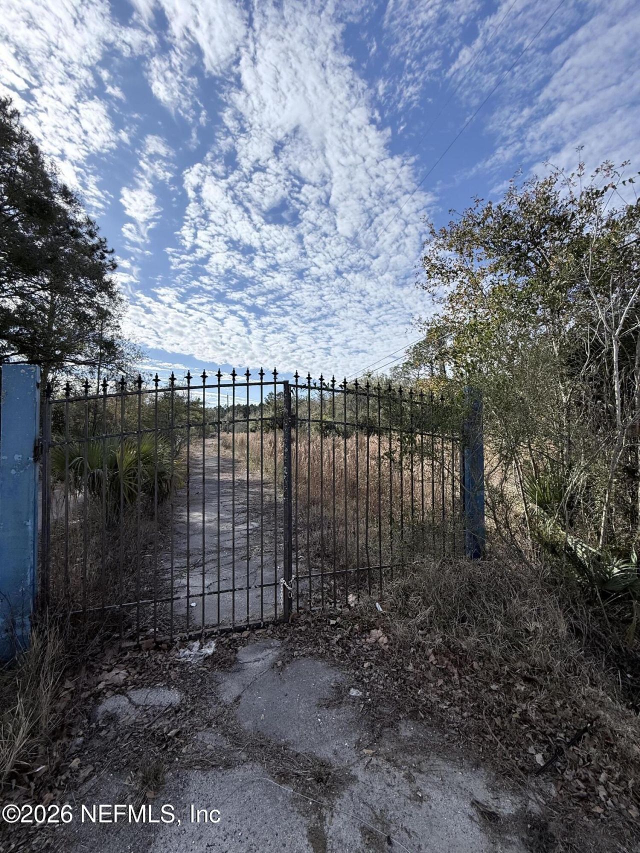 6408 Dor Mil Court, Jacksonville, FL 32244 Photo